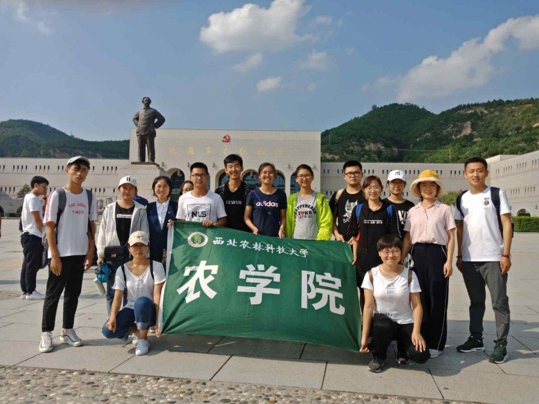使命召唤15
