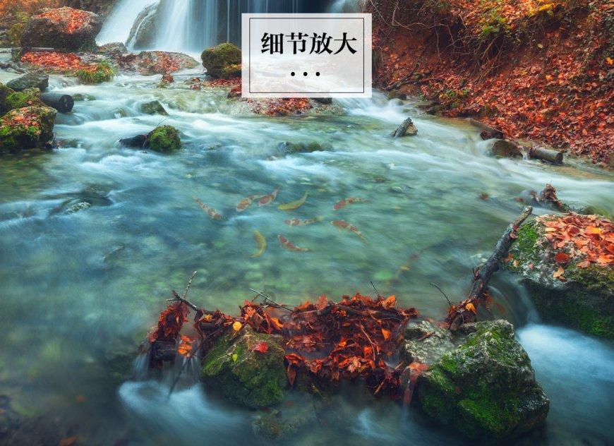 全国10桶酸辣粉8桶河南造 河南省人大代表冀支持酸辣粉产业发展